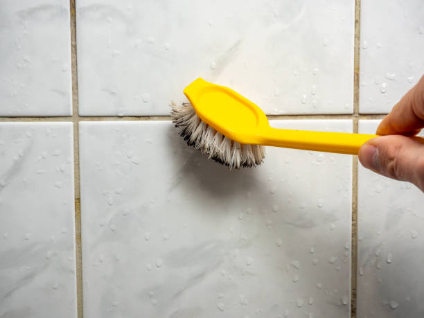 Best Kitchen Mold Remediation in Ashwaubenon, WI