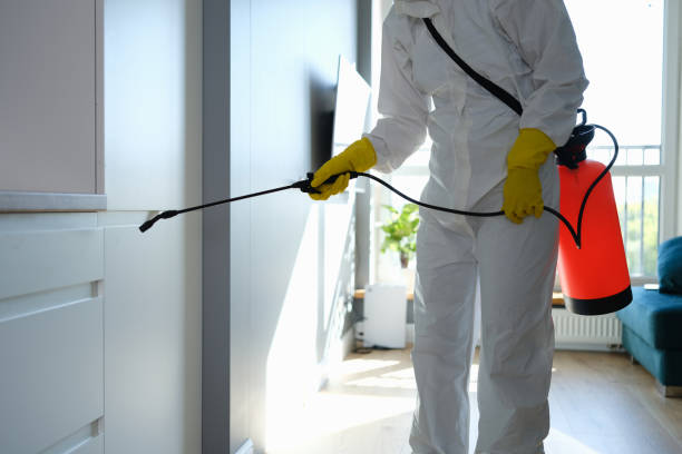 Best DIY Mold Remediation Support Services in Ashwaubenon, WI