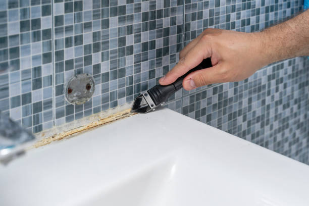 Best Preventive Mold Services in Ashwaubenon, WI